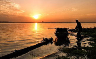 光影瞬間，生活之美 手機(jī)攝影作品精選賞析